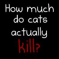 cats_actually_kill