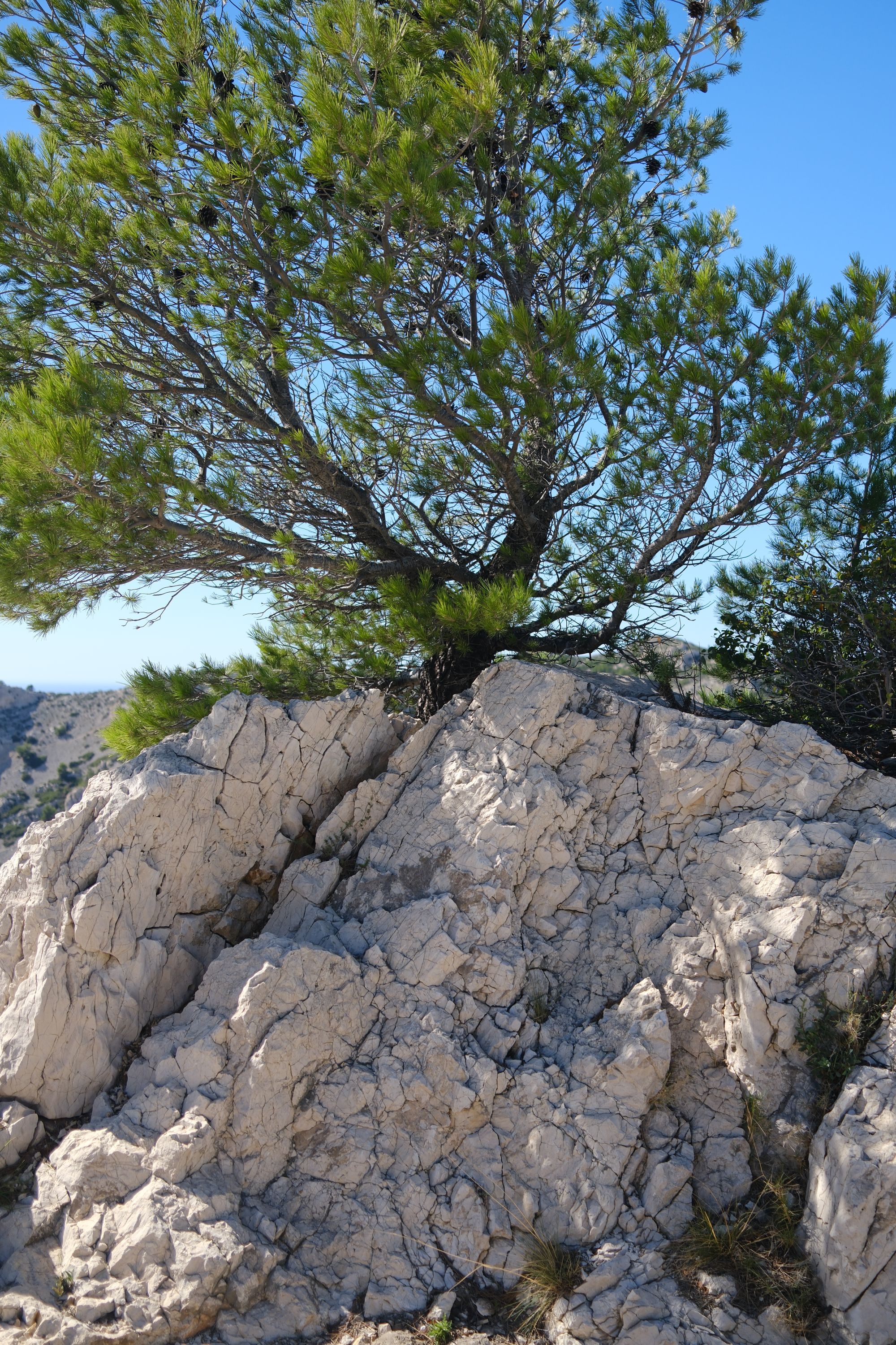 03_03_calanques_base