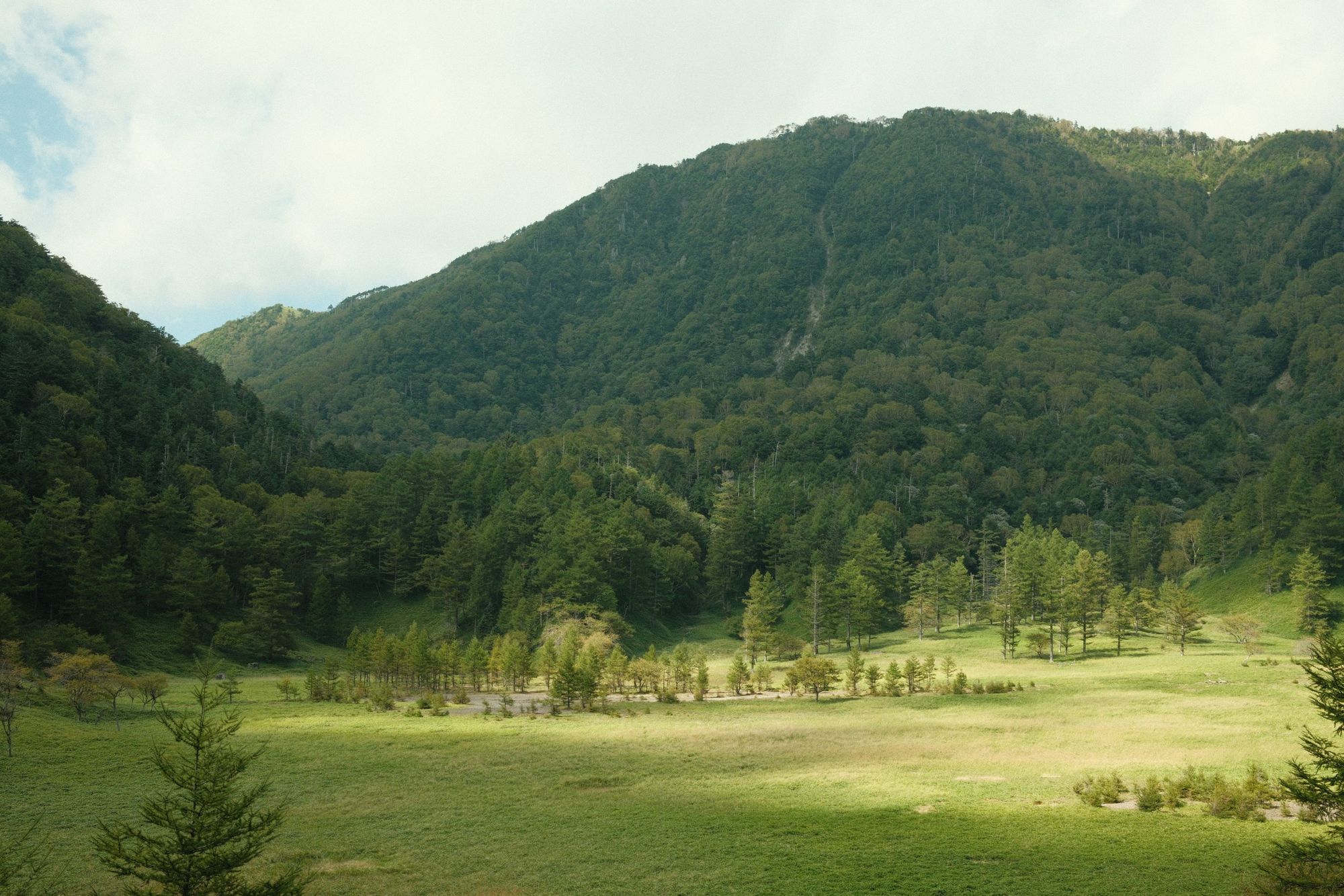 Japón: Nikko, escapamos del calor