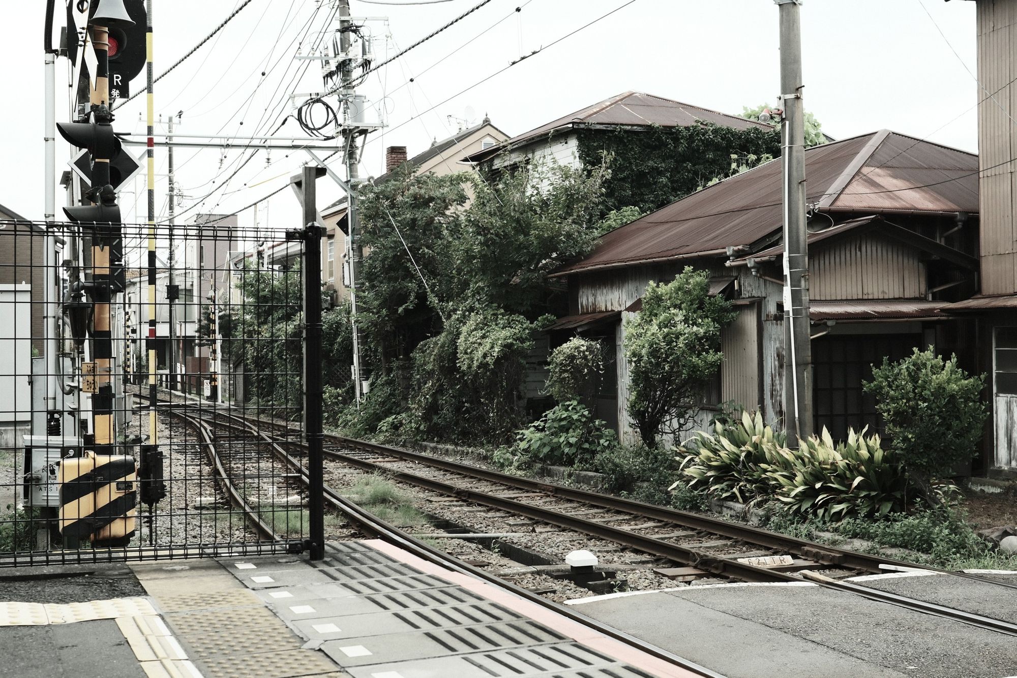 Japón: Kamakura y el yabusame
