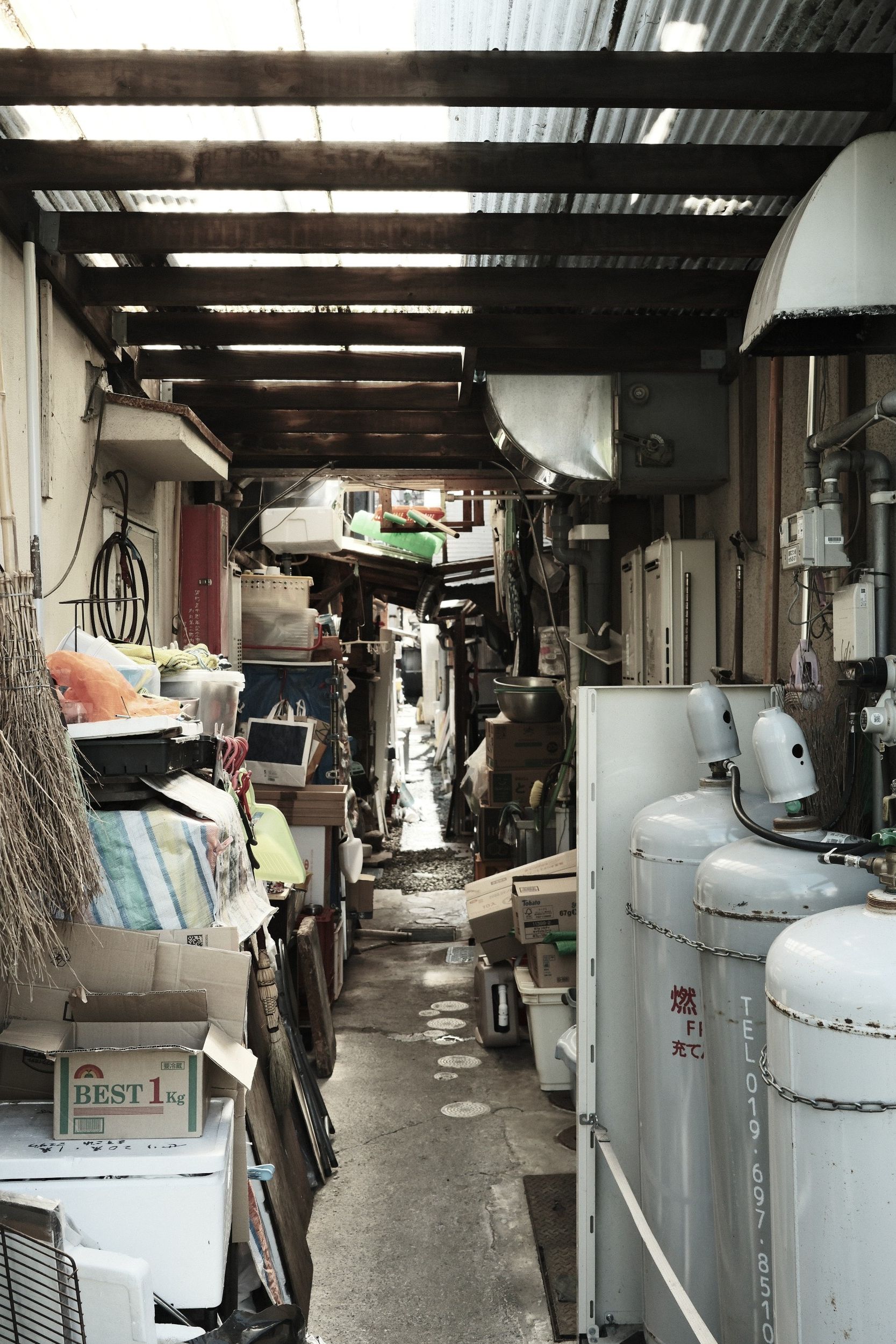 Japón: ahora sí que vamos al norte